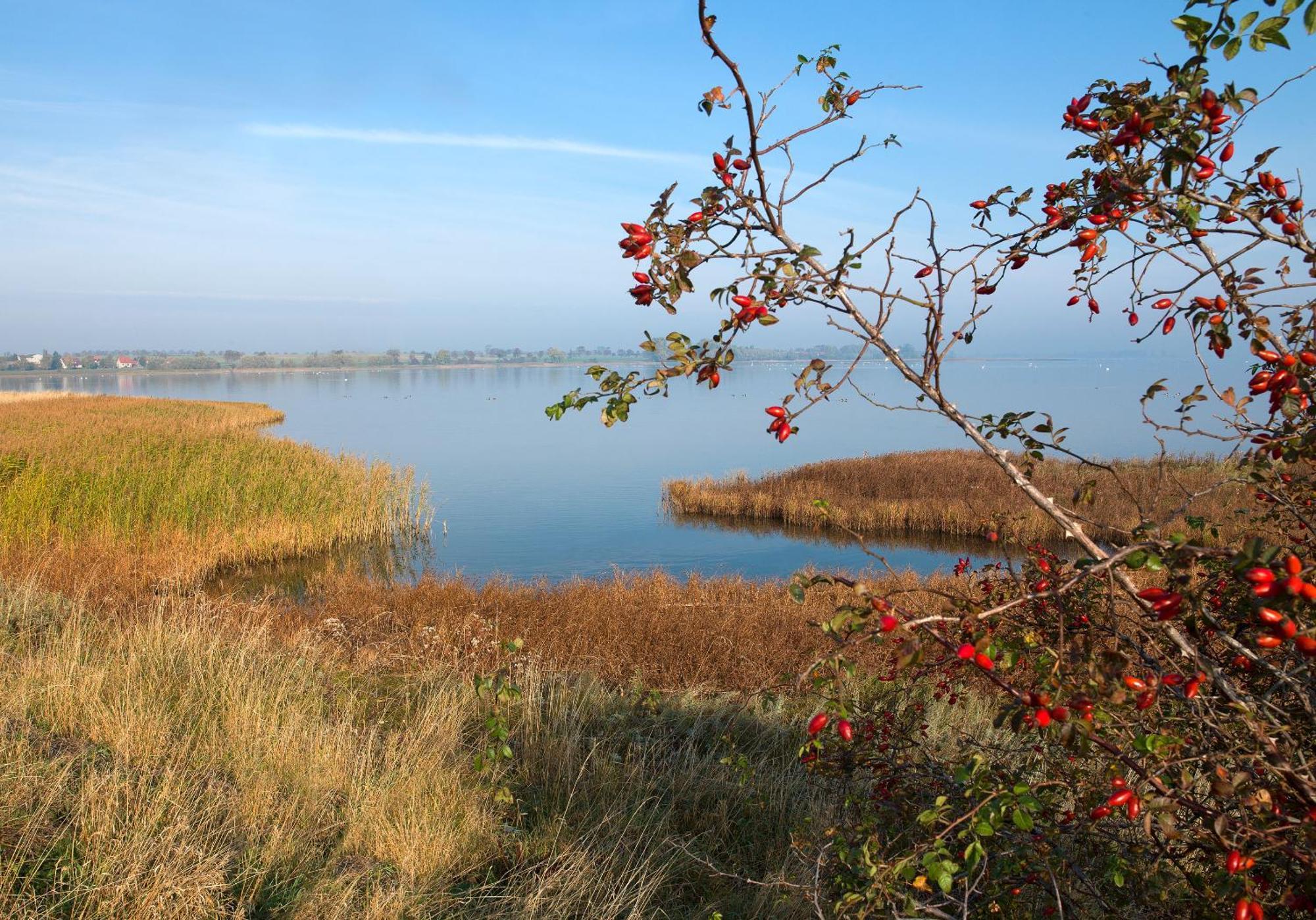 Ferienanlage Poschmann Strohboden Insel Poel Bagian luar foto